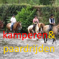 Kamperen en paardrijden op een camping onder Nederlandse leiding